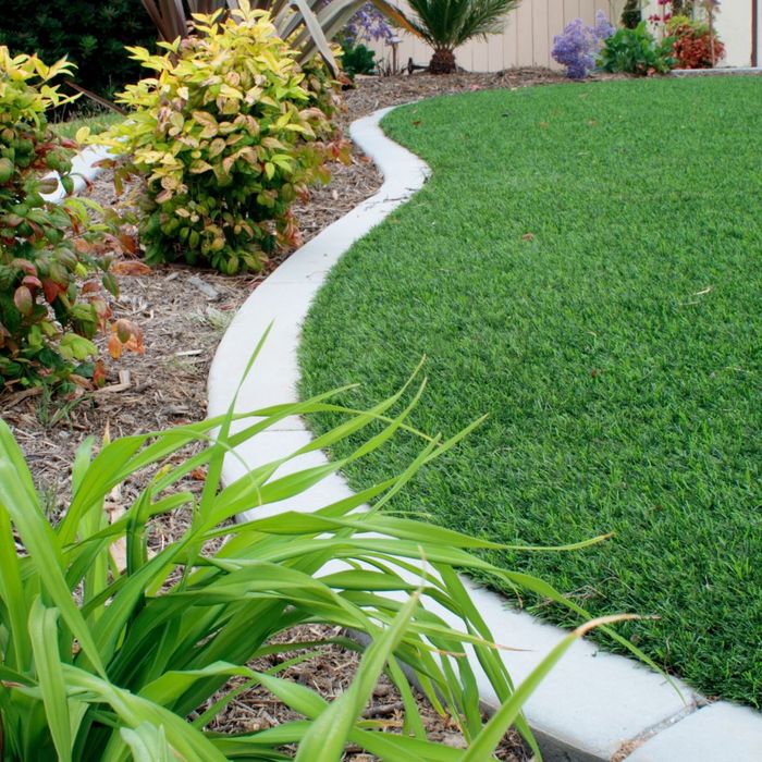 Synthetic Turf The Perfect Solution for Colorado's Climate